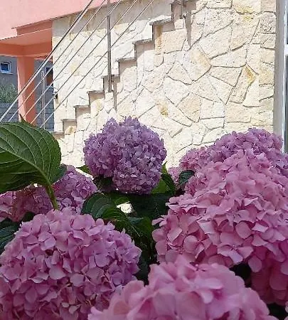 Fantasy Apartament Szybenik