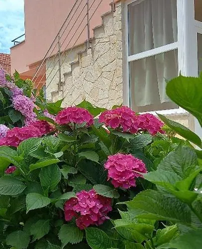 Fantasy Apartament Szybenik