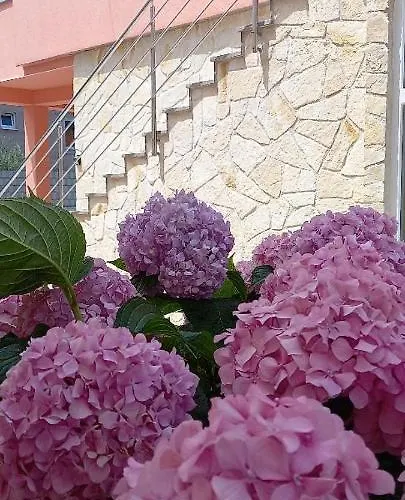 Fantasy Apartament Szybenik