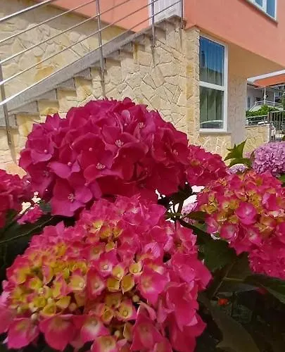 Fantasy Apartament *